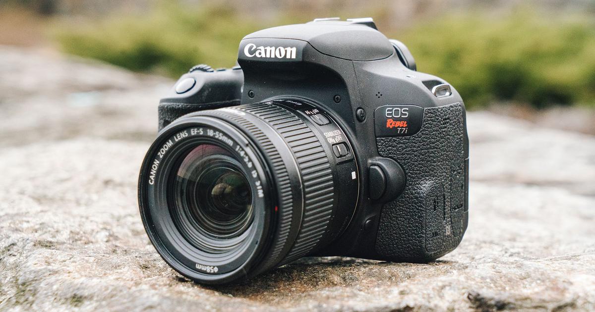 The Best Canon Cameras to Spend Your Money On